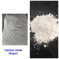 Calcium Oxide Powder Kapur CaCo3